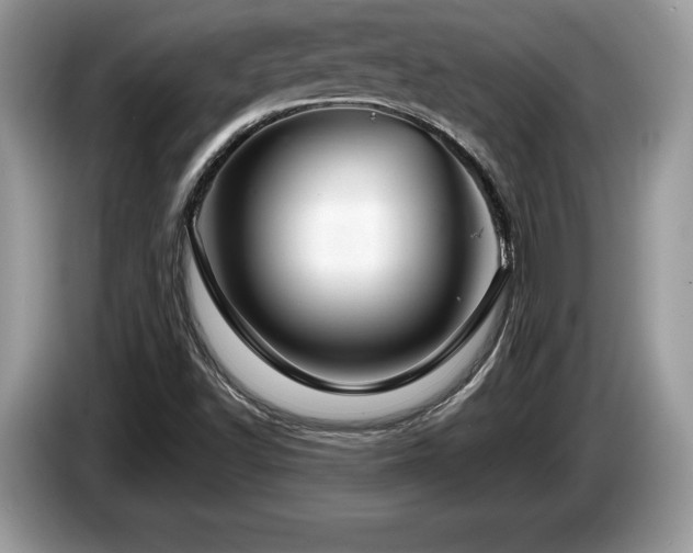 X0000087611502200704271331