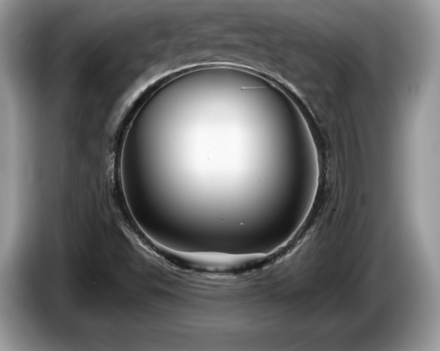 X0000087611503200704271331