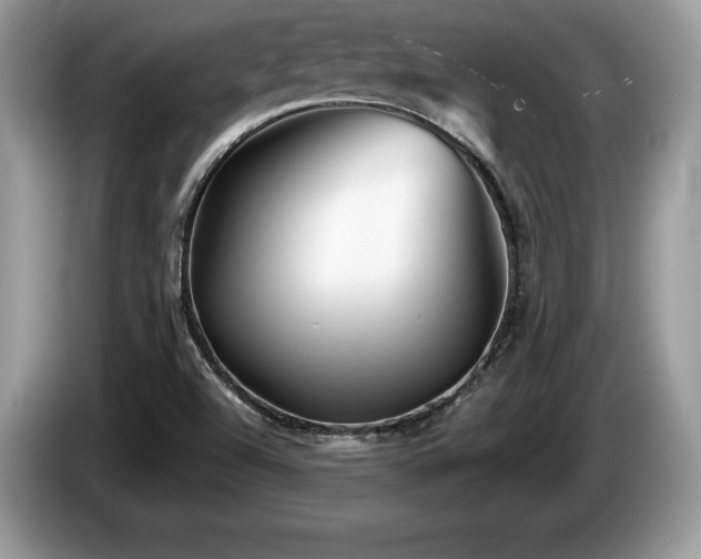 X0000087611504200704271331