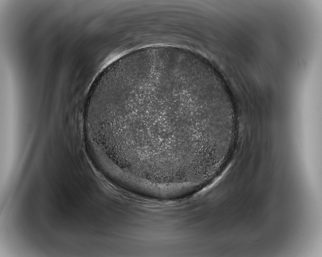 X0000087611505200704271331