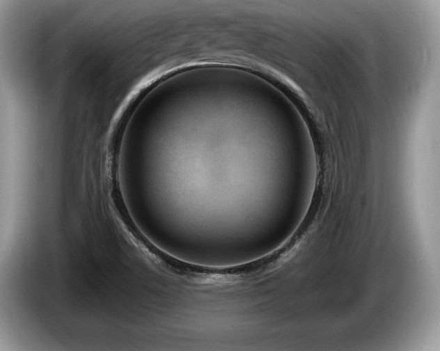 X0000087611506200704271331