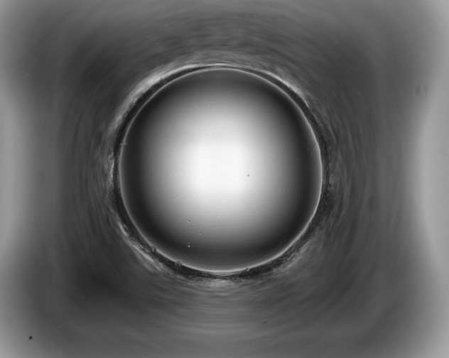 X0000087611507200704271331