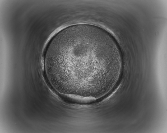 X0000087611509200704271331