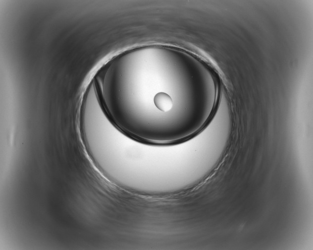 X0000087611512200704271331