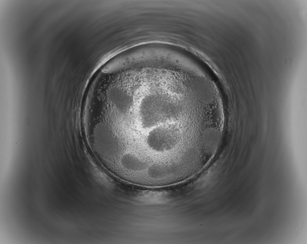 X0000087611513200704271331
