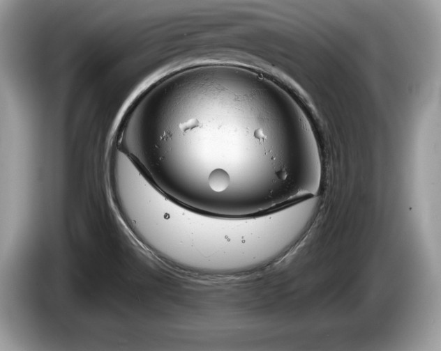 X0000087611514200704271331