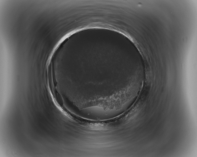 X0000087611515200704271331