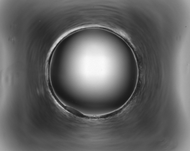 X0000087611516200704271331