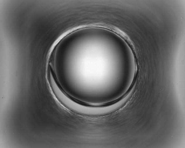 X0000087611520200704271331