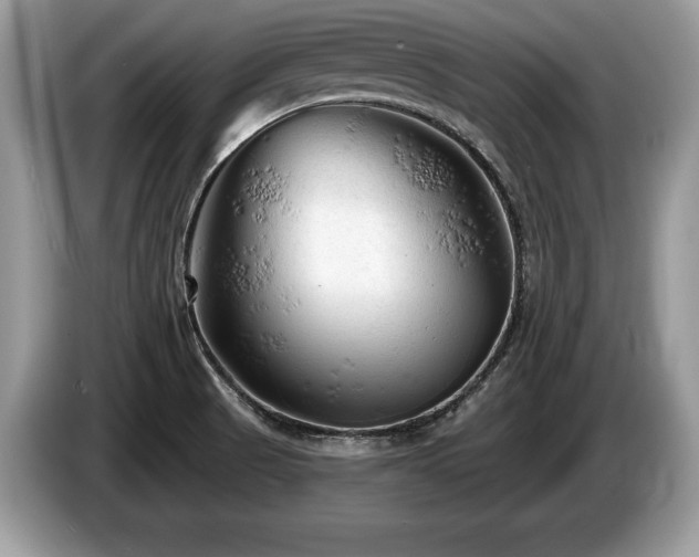 X0000087611521200704271331