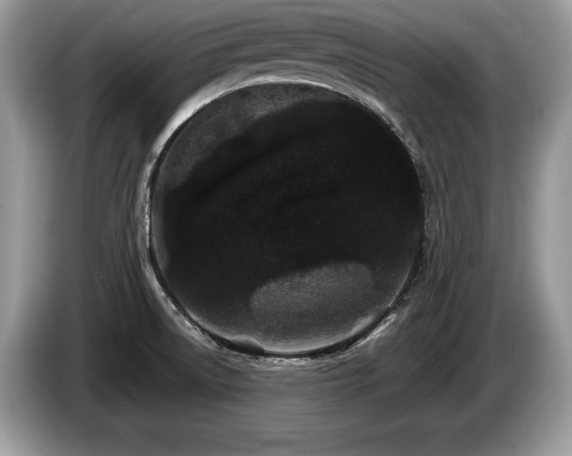 X0000087611522200704271331