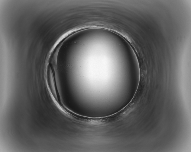 X0000087611523200704271331