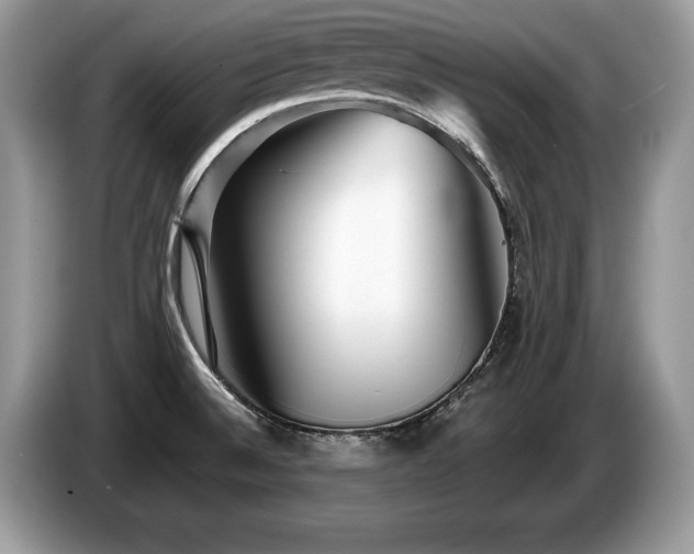 X0000087611524200704271331