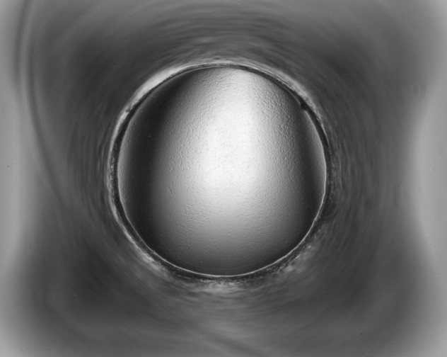 X0000087611525200704271331