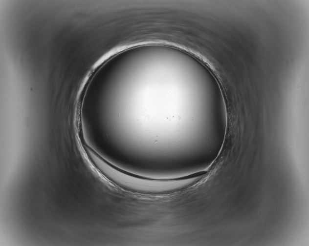 X0000087611526200704271331