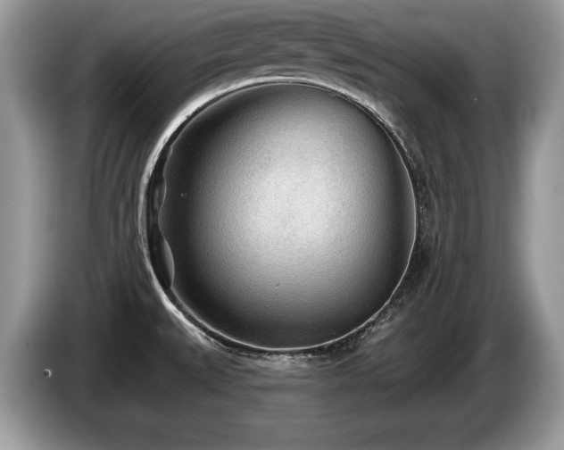 X0000087611527200704271331