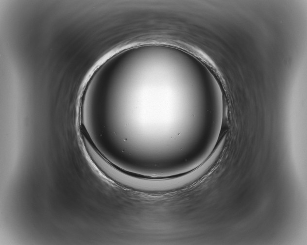 X0000087611528200704271331