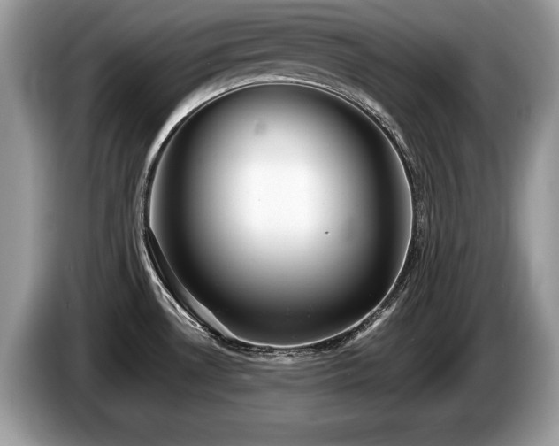 X0000087611530200704271332
