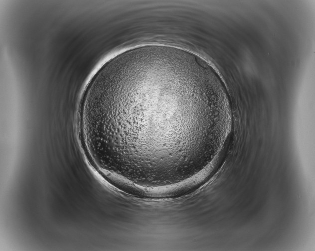 X0000087611531200704271332