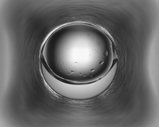 X0000087611532200704271332