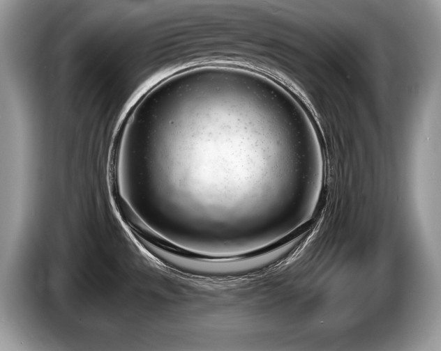 X0000087611533200704271332