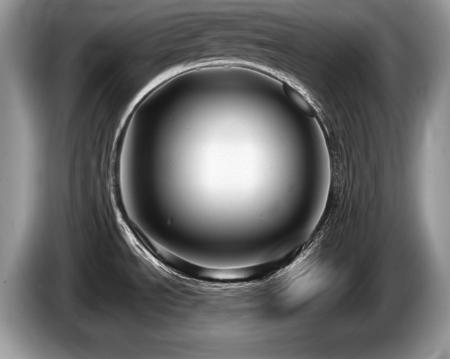 X0000087611534200704271332