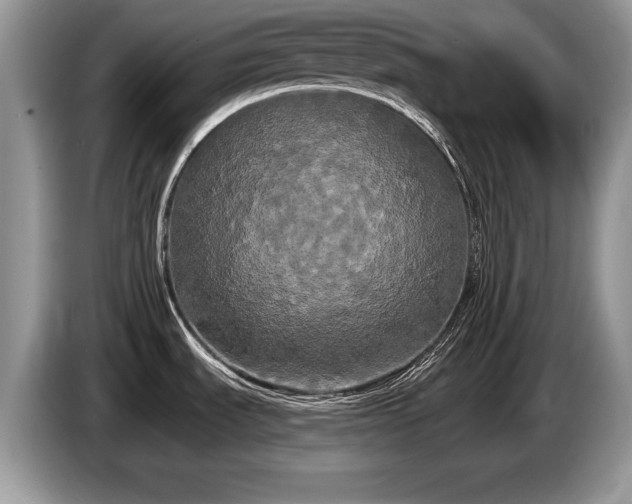 X0000087611535200704271332