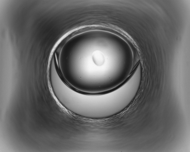 X0000087611536200704271332