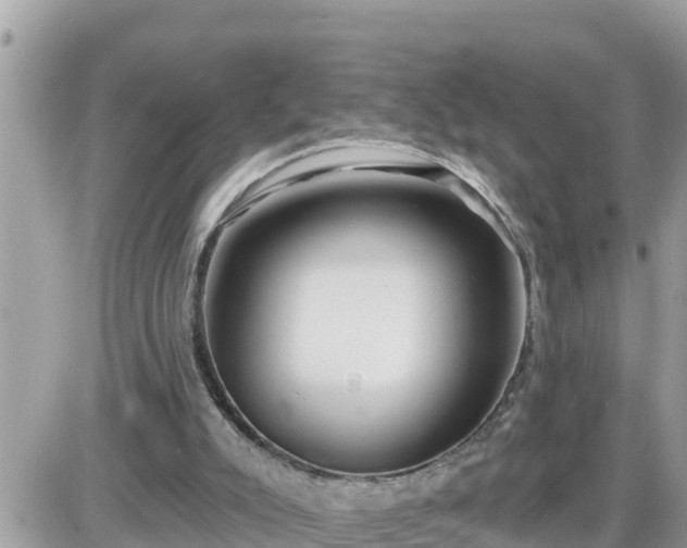 X0000087610007200705041611
