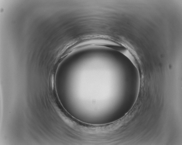 X0000087610013200705041610