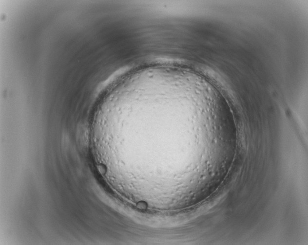 X0000087610016200705041610