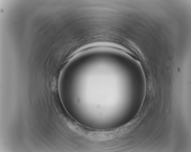 X0000087610025200705041610