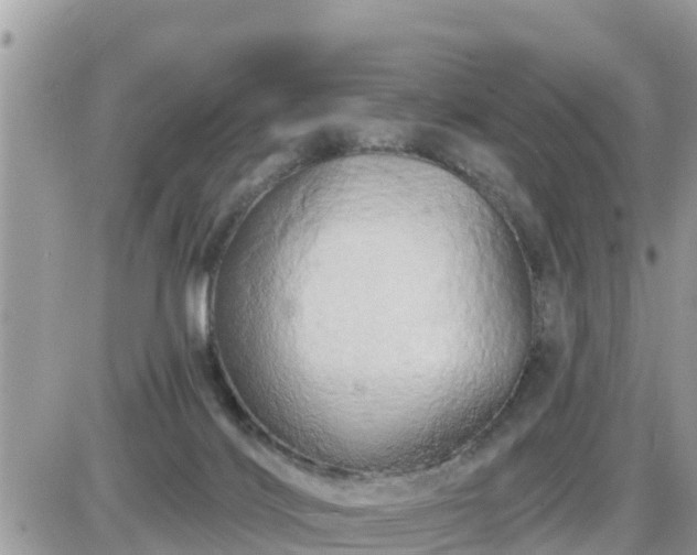 X0000087610028200705041610