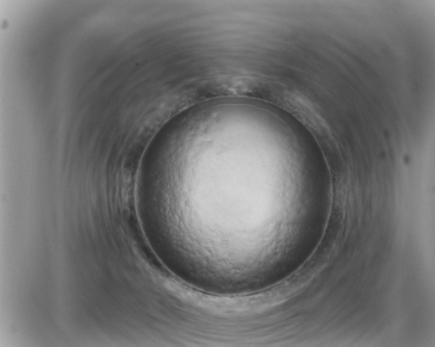 X0000087610030200705041610