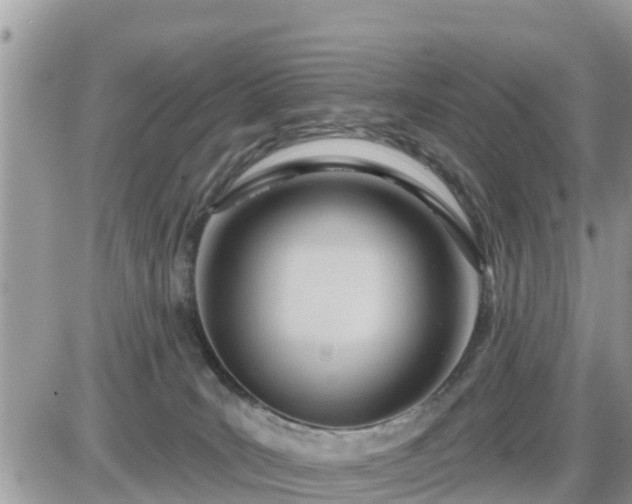 X0000087610035200705041610