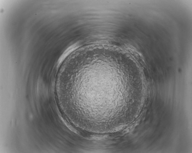 X0000087610051200705041609