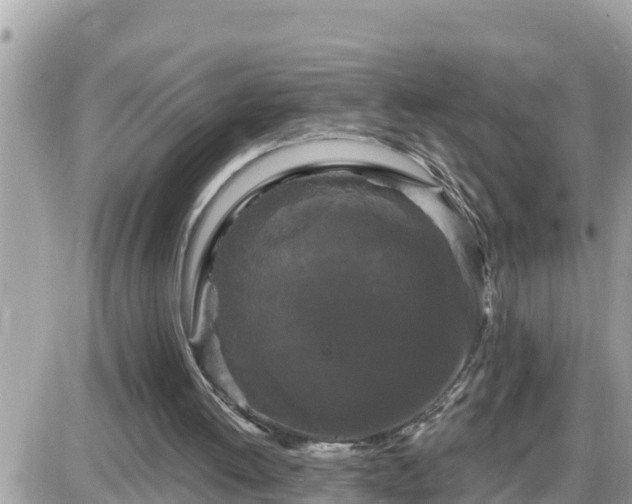 X0000087610052200705041609