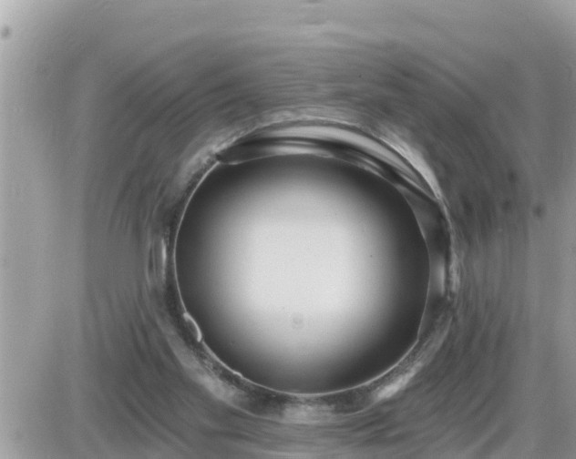 X0000087610109200705041609