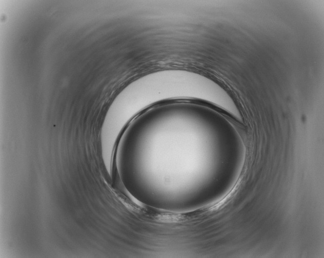 X0000087610192200705041608