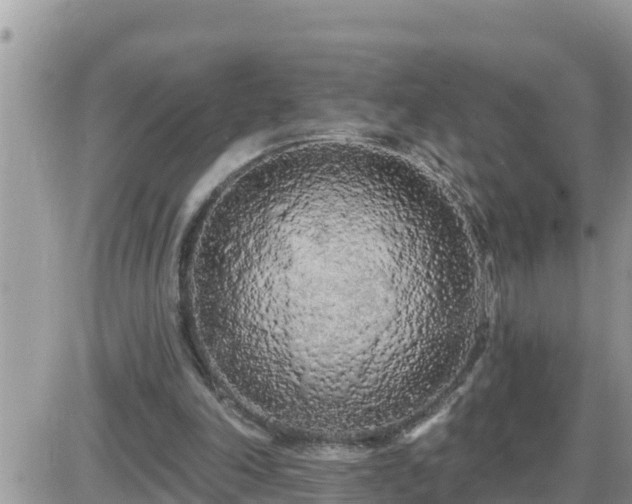 X0000087610198200705041607