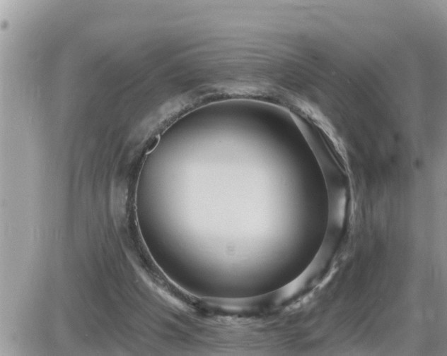 X0000087610201200705041607