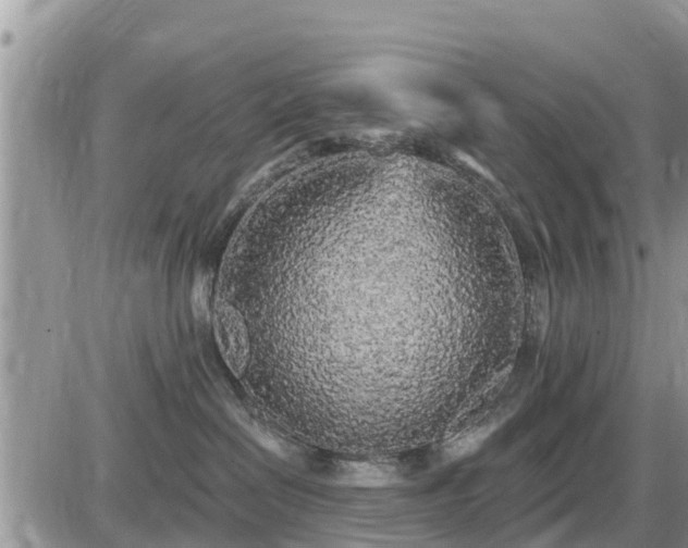 X0000087610286200705041607