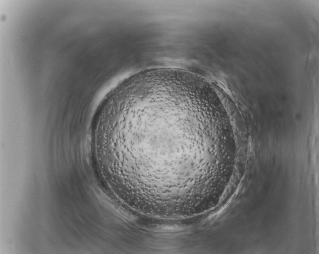 X0000087610342200705041605