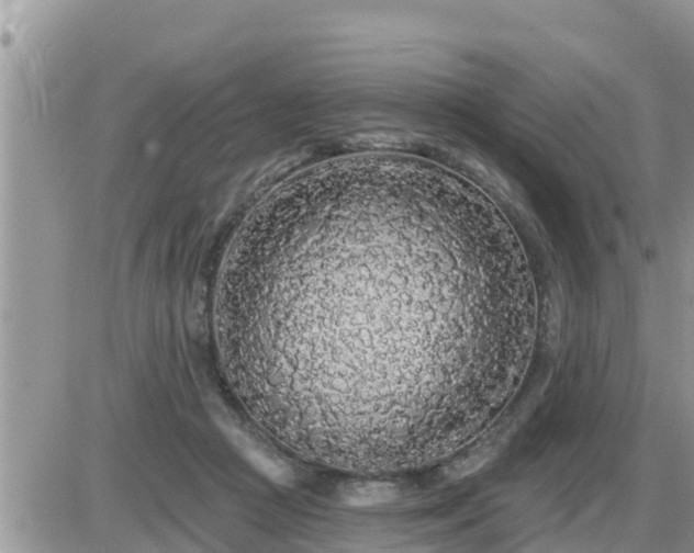 X0000087610361200705041605