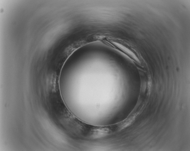 X0000087610525200705041602