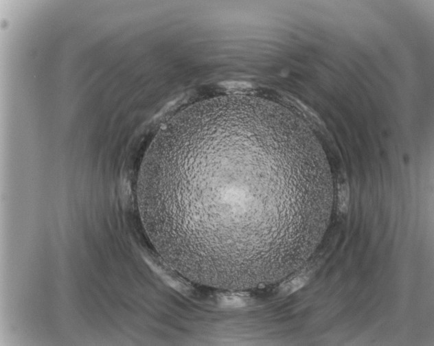 X0000087610618200705041601