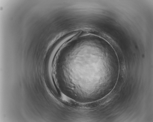 X0000087610734200705041558