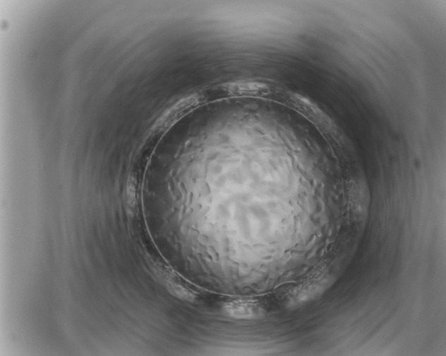 X0000087610761200705041559