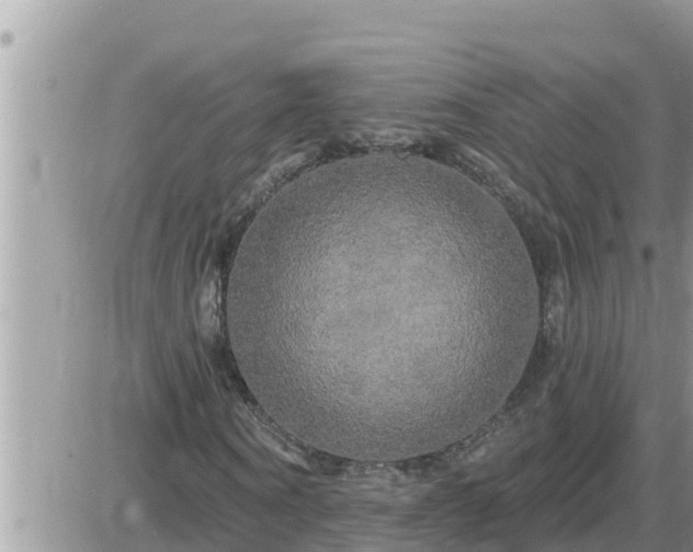 X0000087610866200705041557