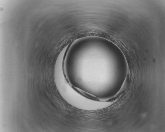 X0000087610916200705041555